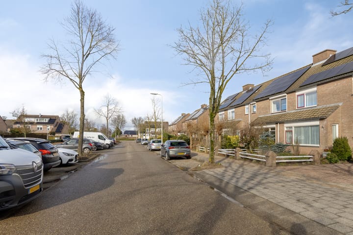 Foto 31 van Hoveniersberg 103