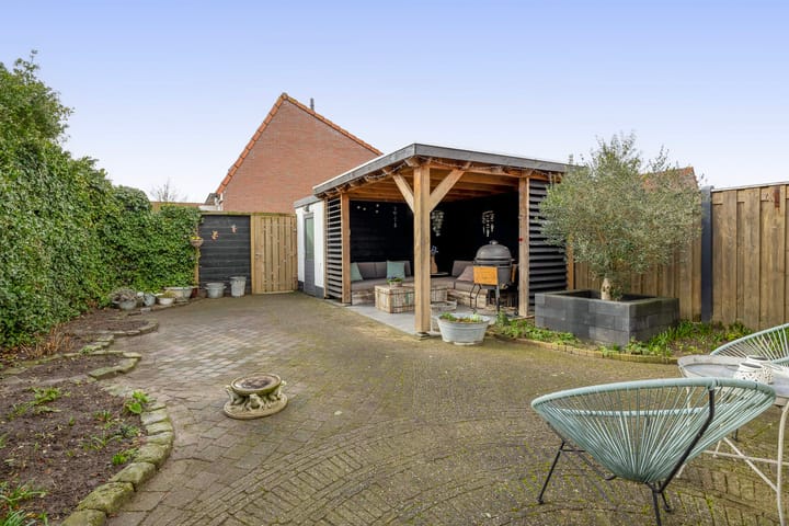 Foto 4 van Gerbera 12