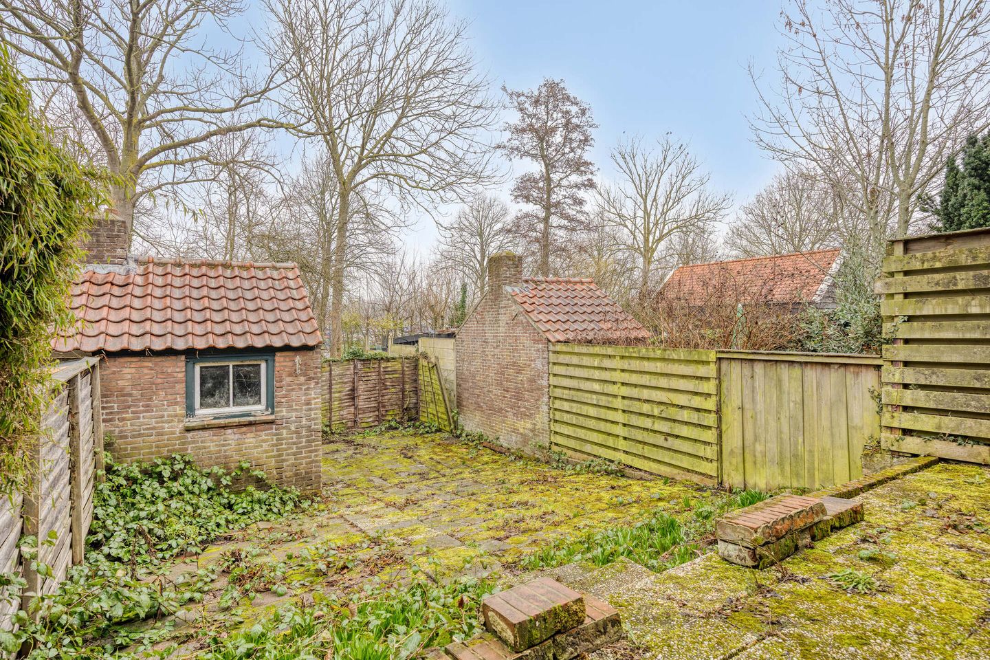 Photo 19 of Molenstraat 54