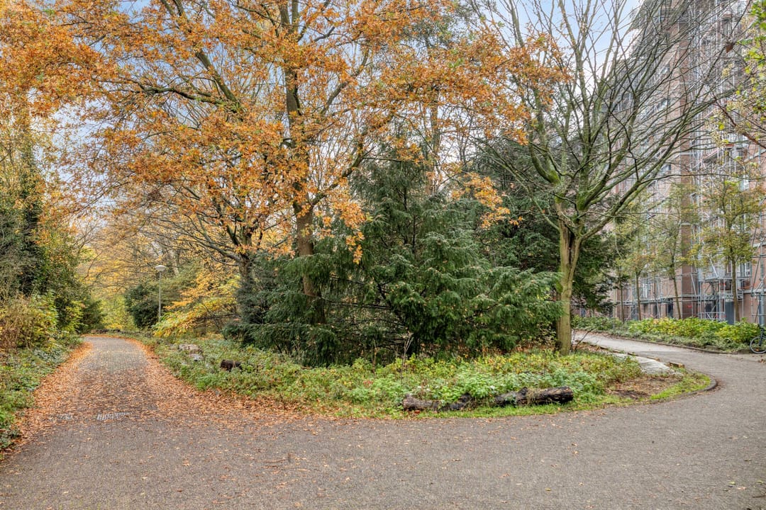 Photo 23 of Leksmondhof 238