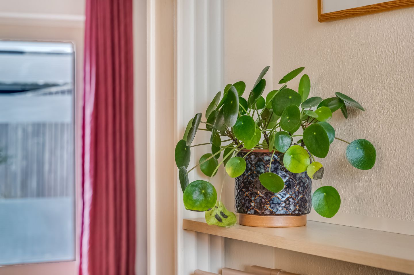 Foto 4 van Breitnerstraat 29