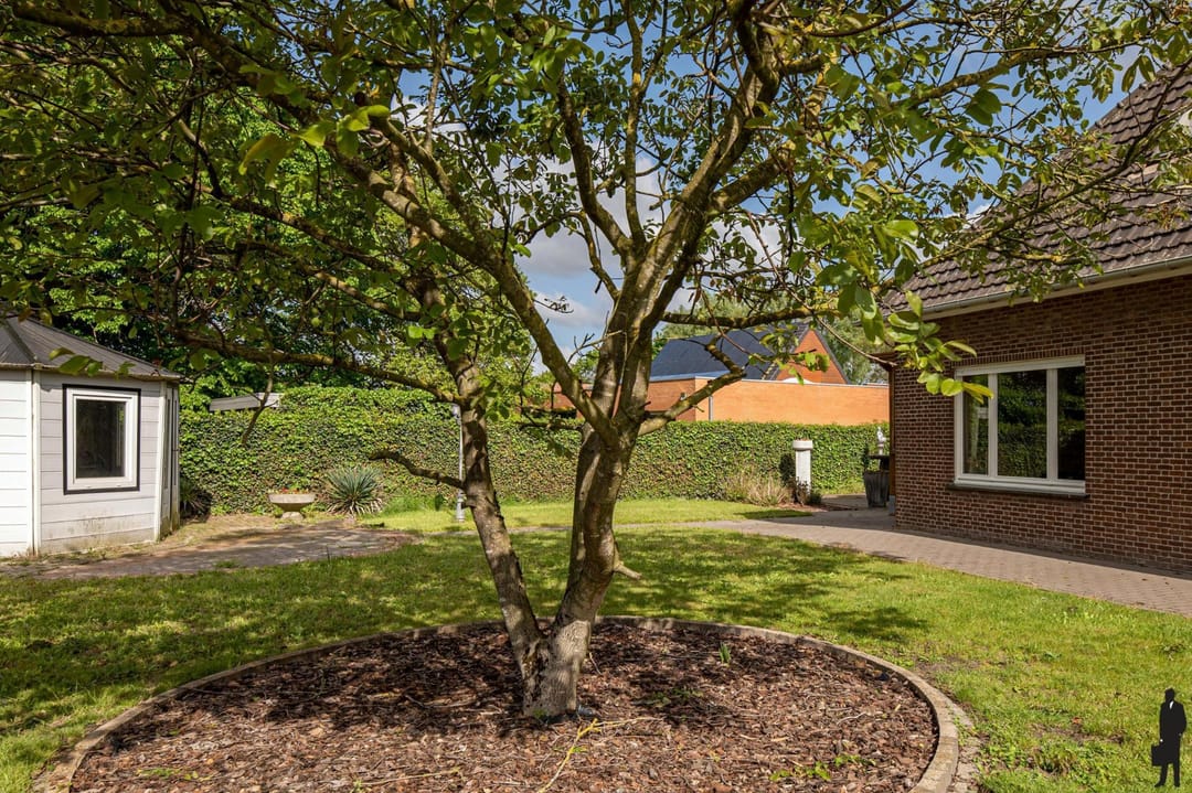 Foto 16 van Asselbergen 19