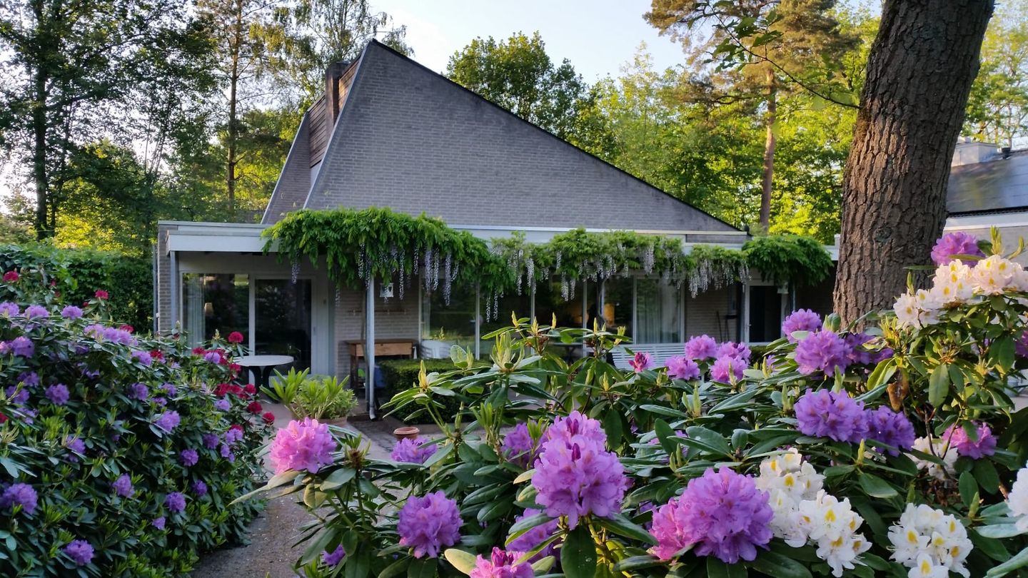 Foto 34 van Atalanta 30