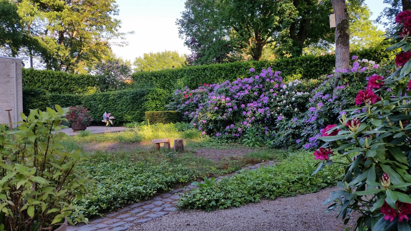 Foto 35 van Atalanta 30