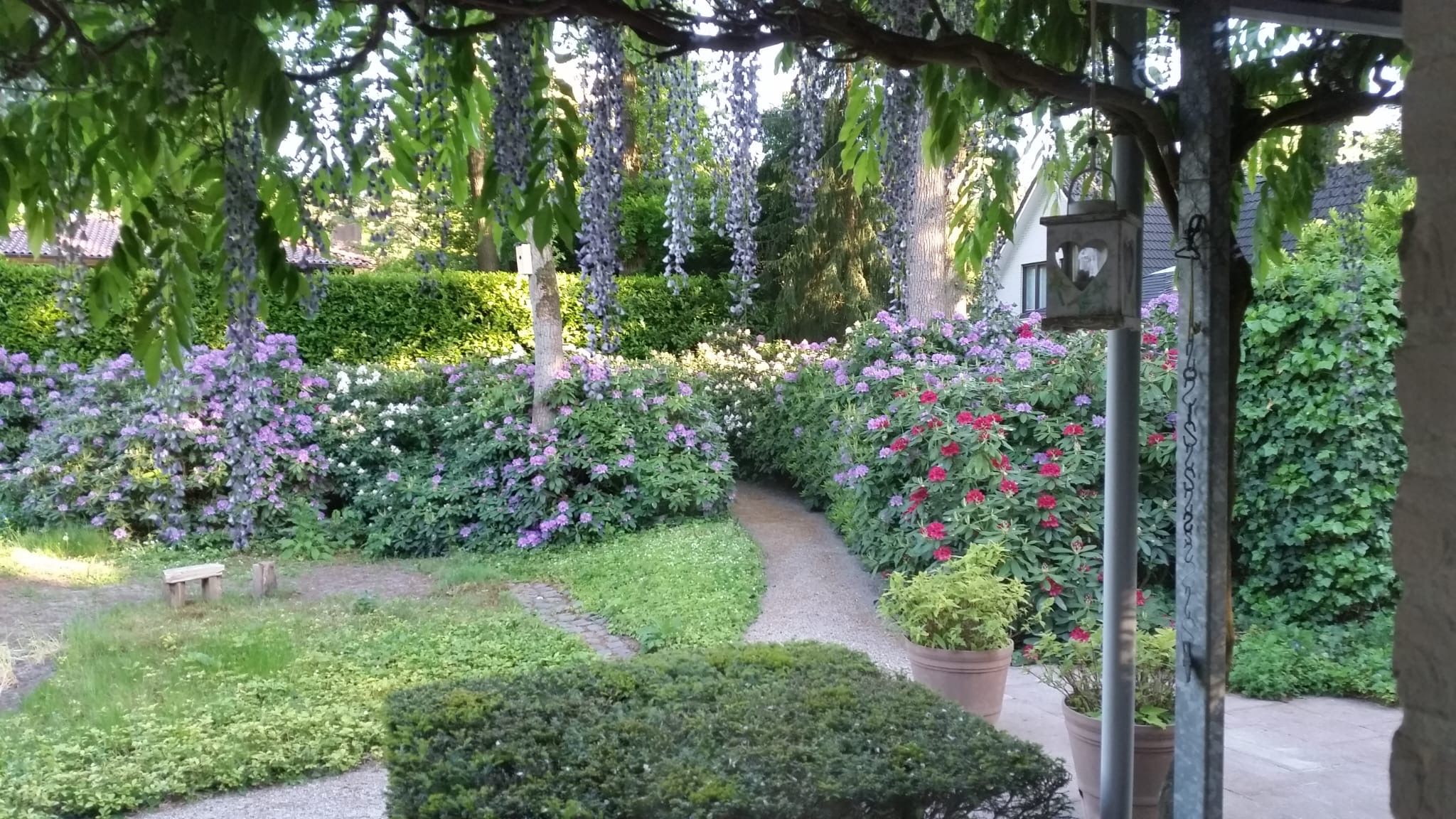 Foto 36 van Atalanta 30