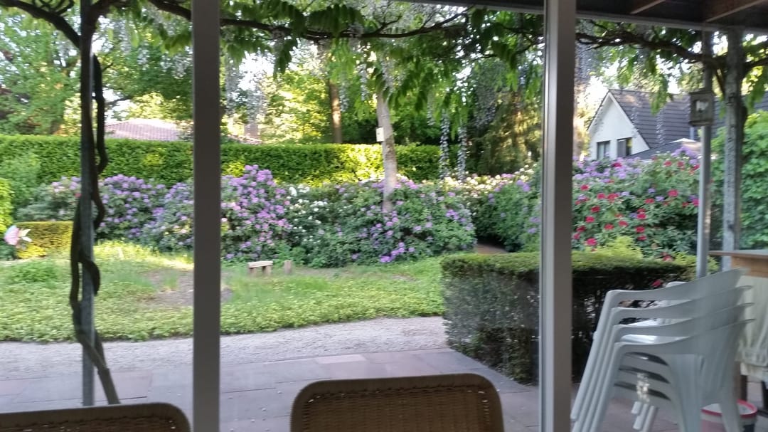 Foto 37 van Atalanta 30