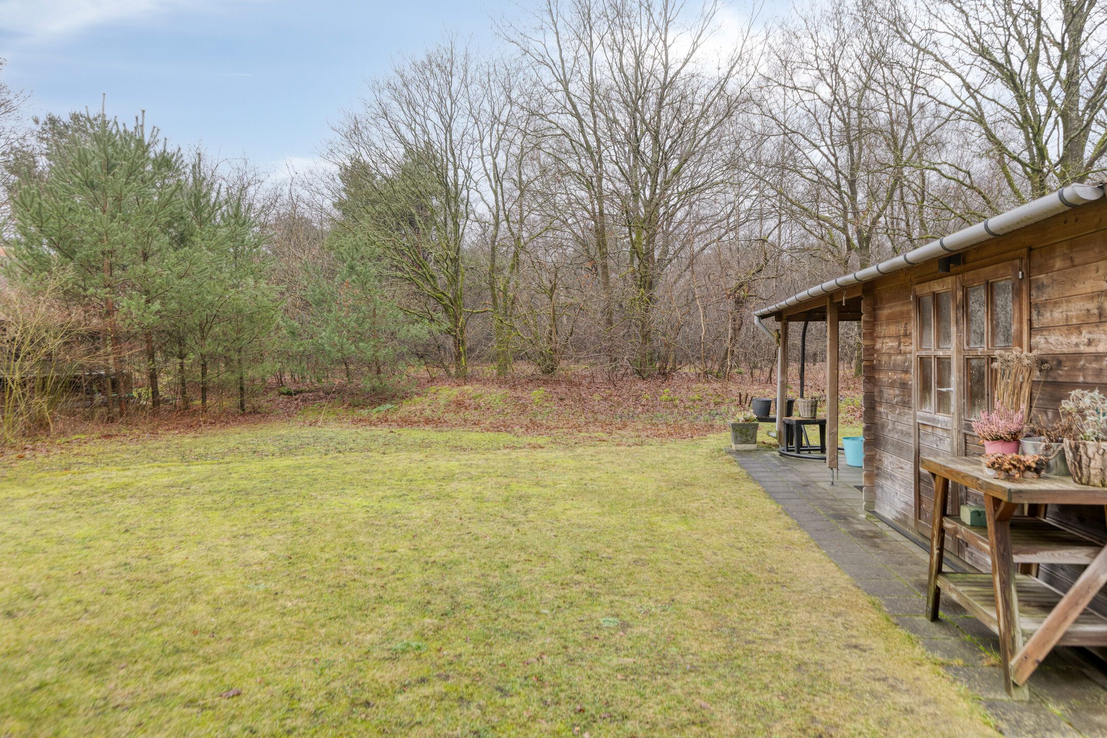Foto 3 van Koele 20