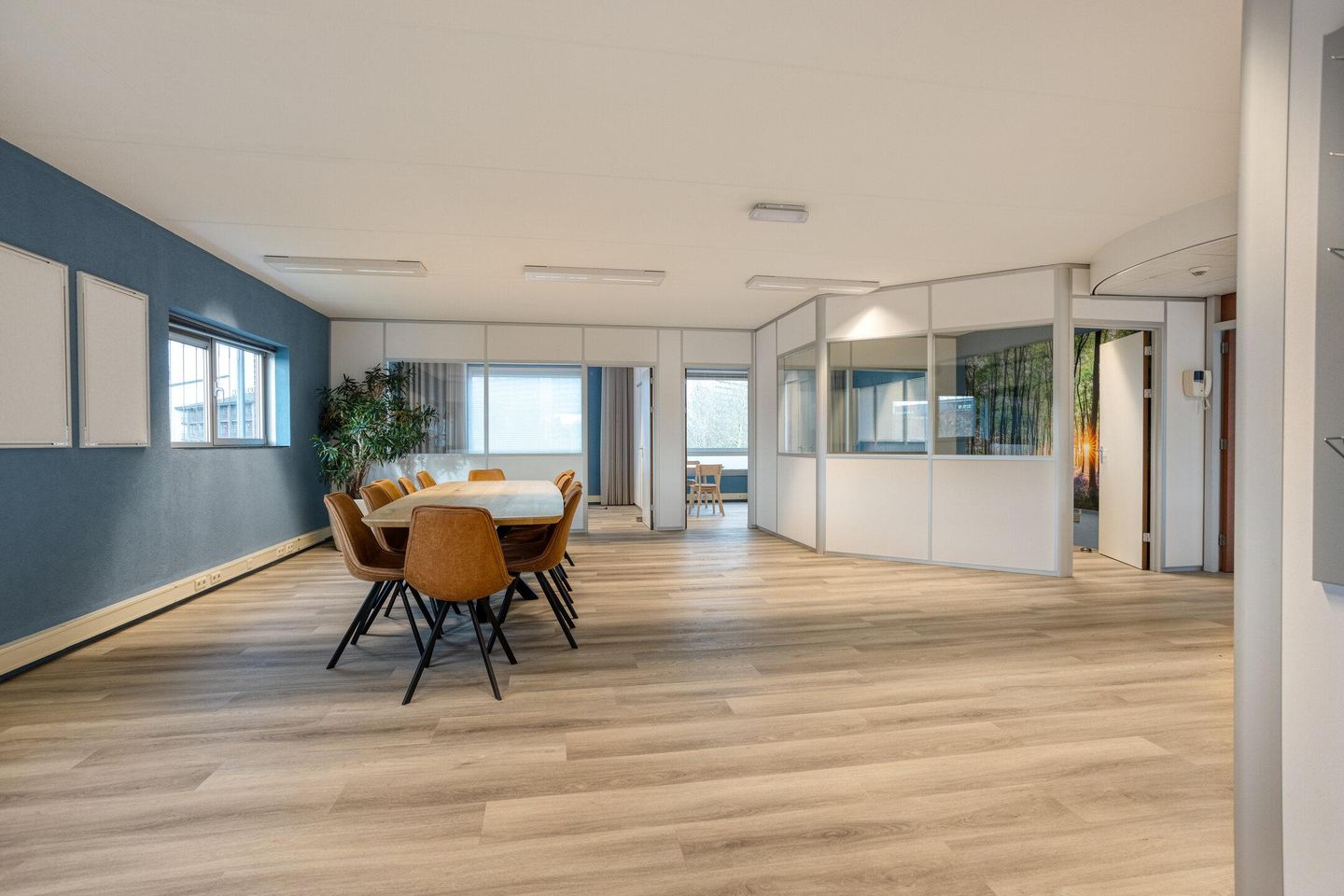 View photo 4 of Lavendelheide 8-c