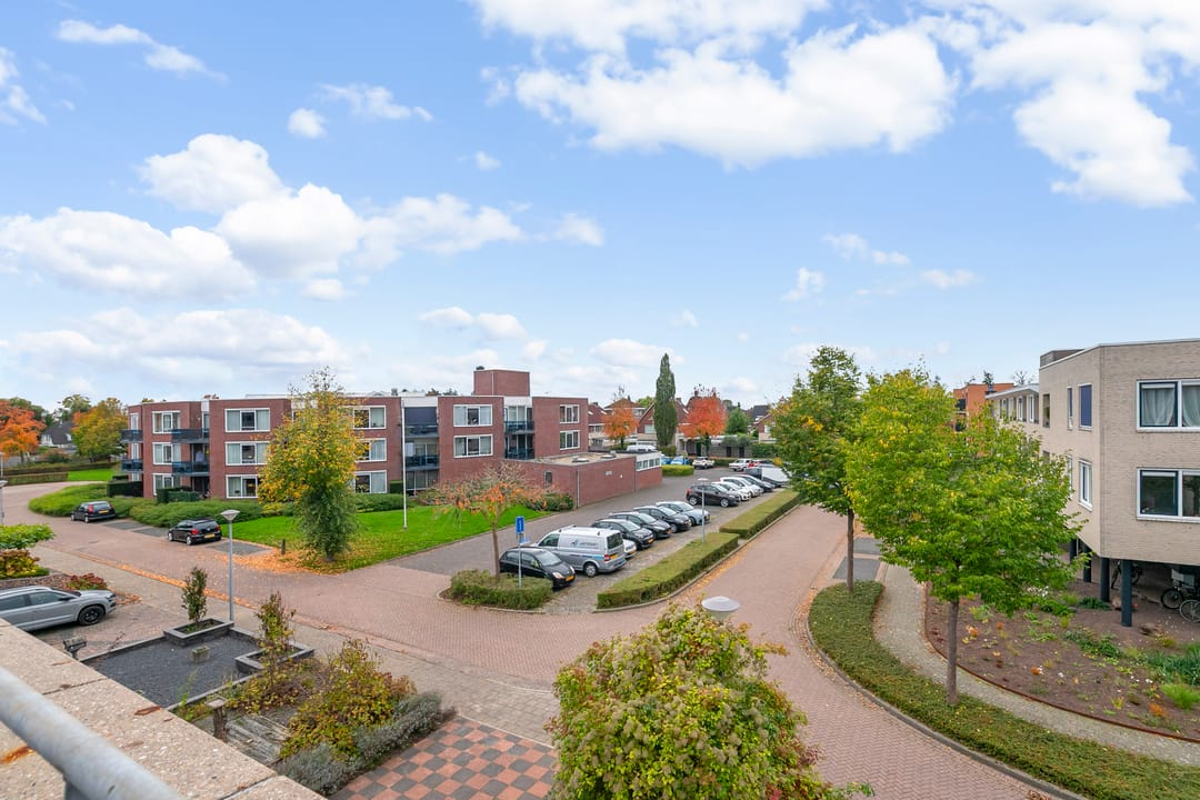 Foto 31 van Goudreinet 5