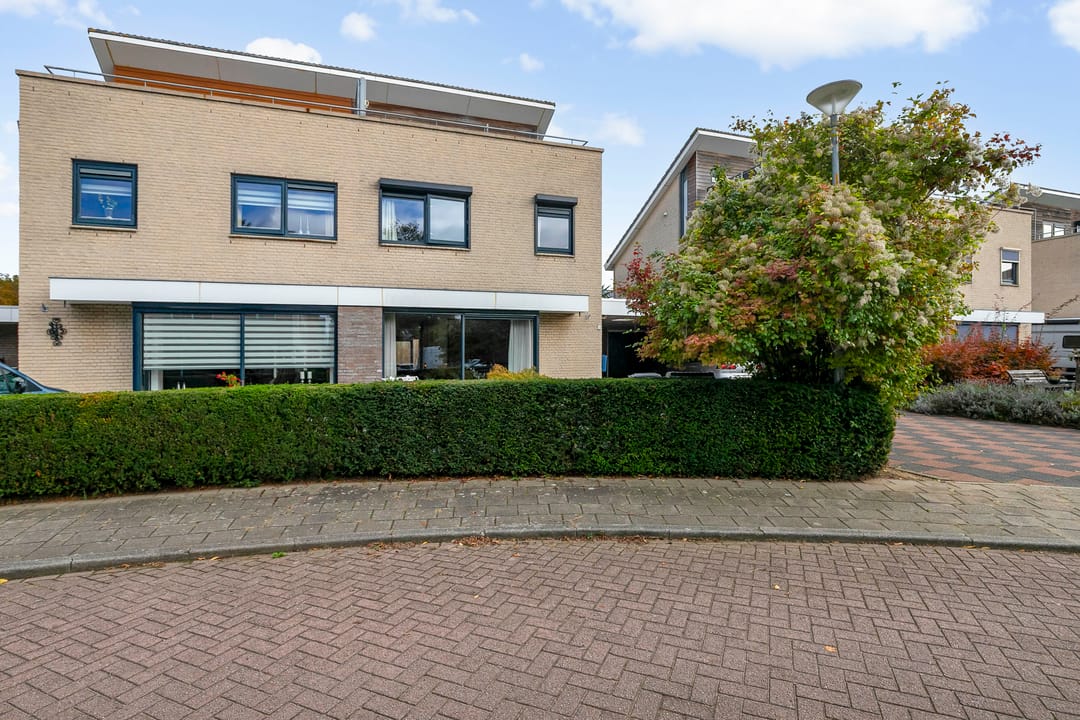 Foto 41 van Goudreinet 5