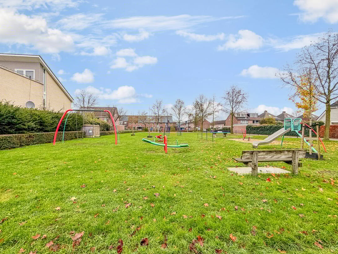 Foto 43 van Goudreinet 5