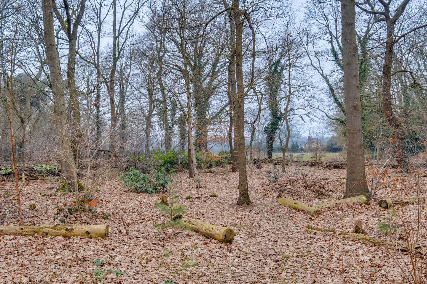 Foto 49 van Lochemseweg 104