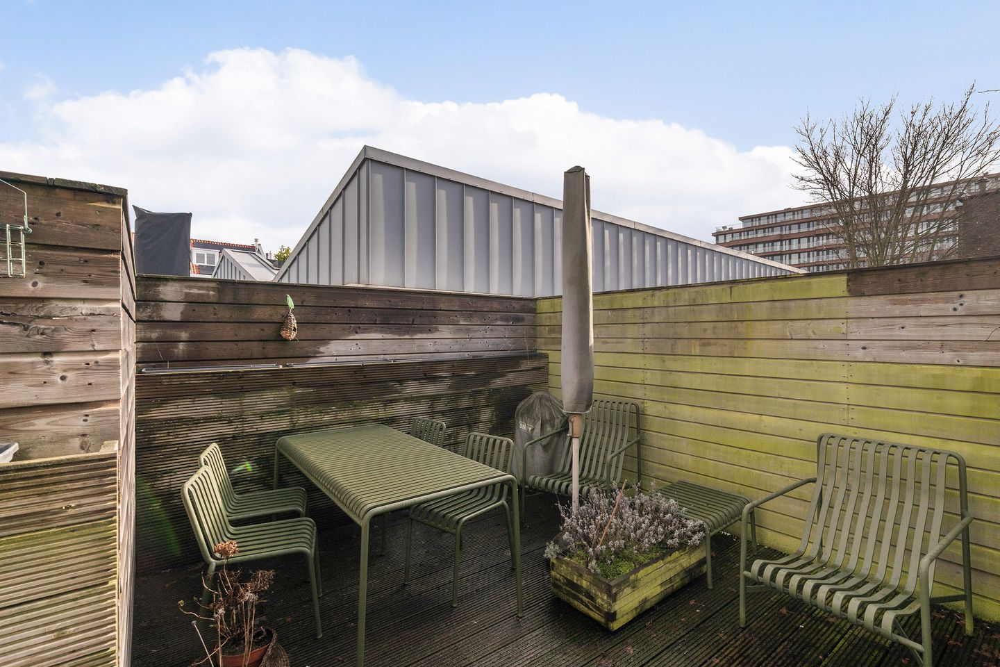 Foto 4 van Anna Paulownastraat 43