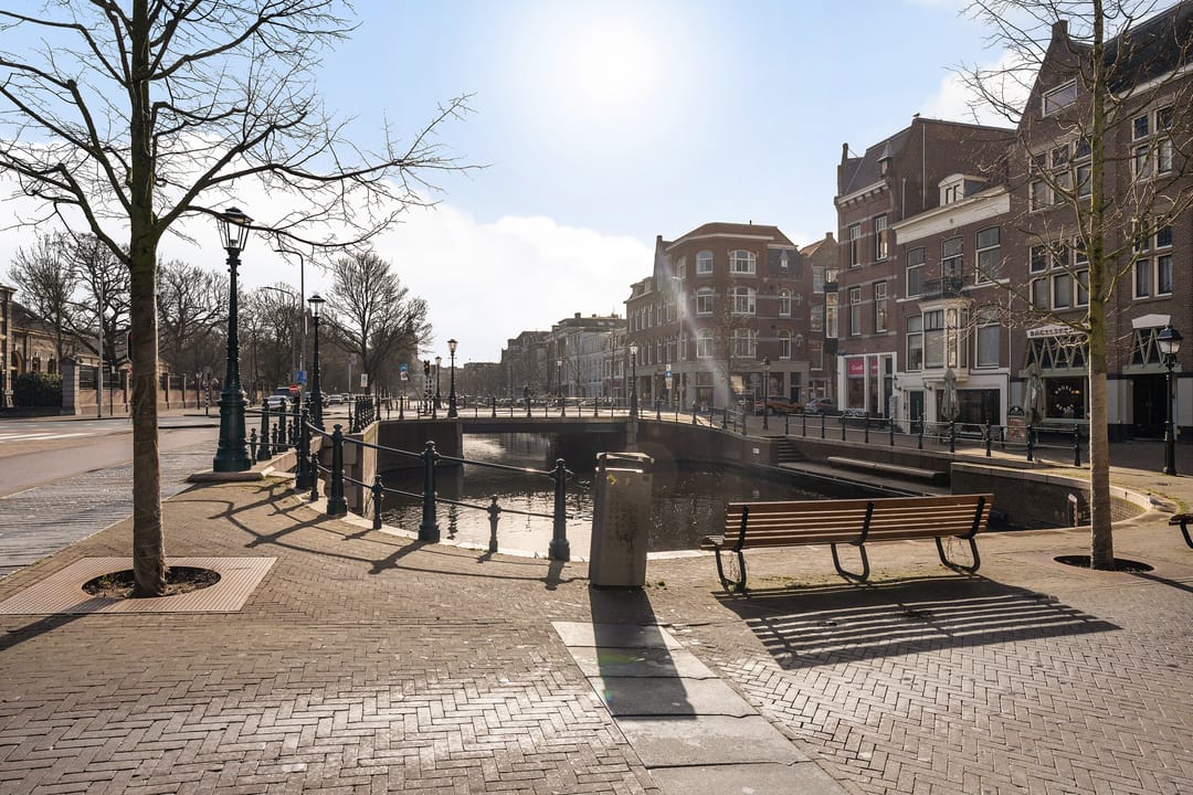 Foto 28 van Anna Paulownastraat 43