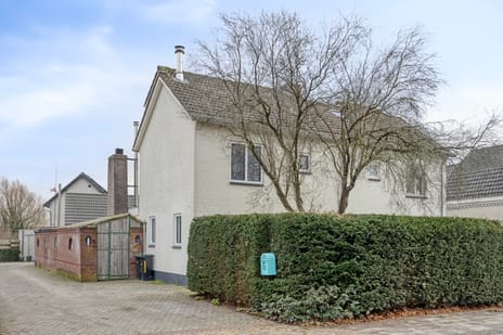 undefined main image