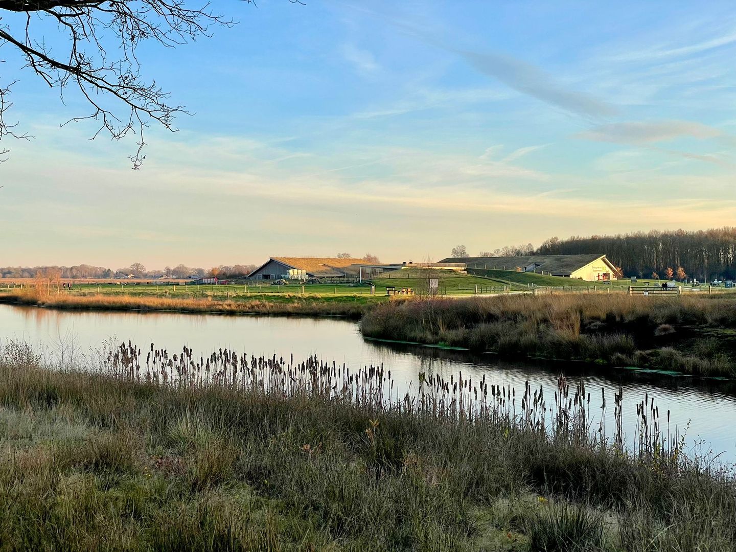 Foto 49 van Europaweg 130