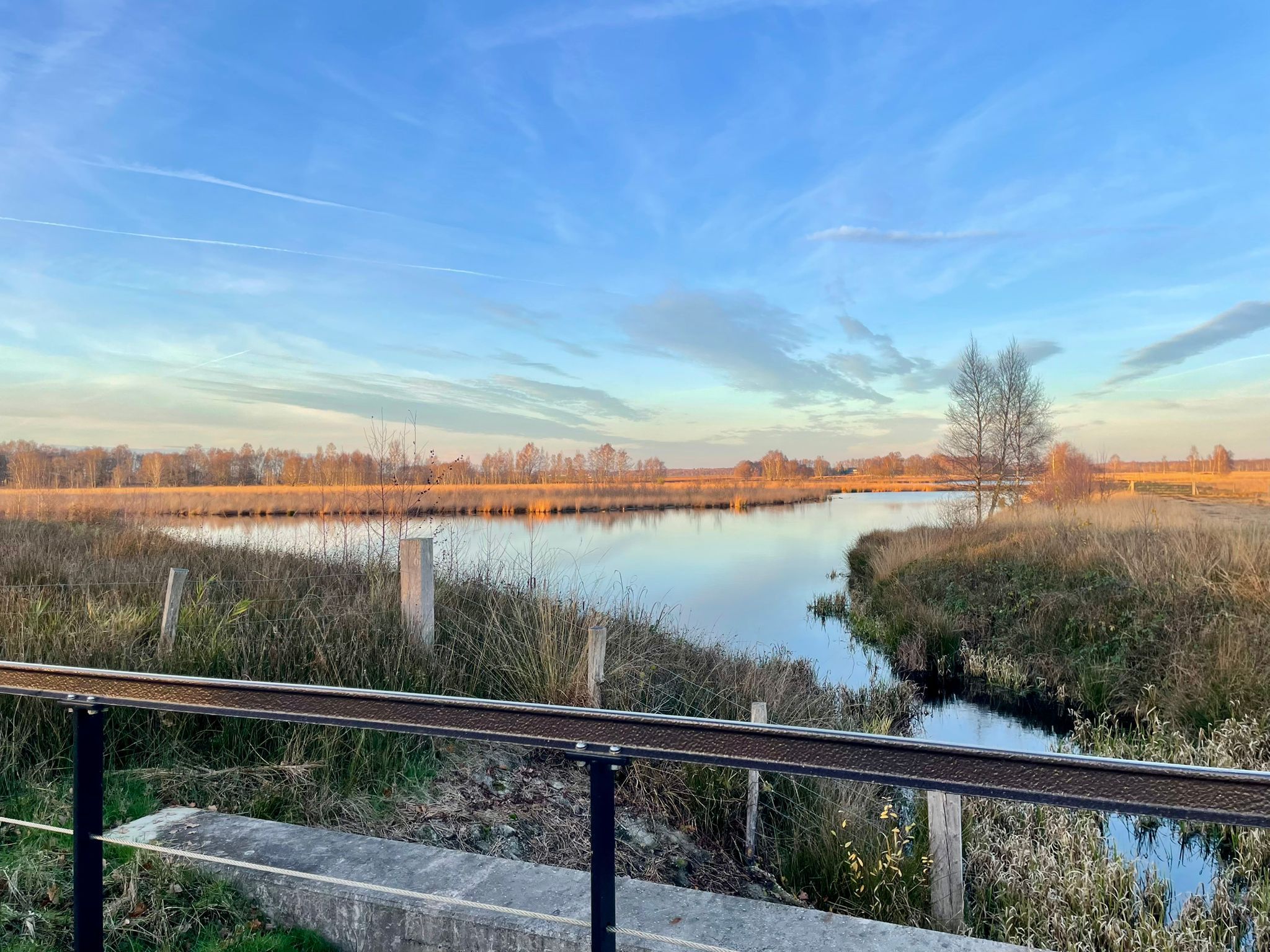 Foto 51 van Europaweg 130