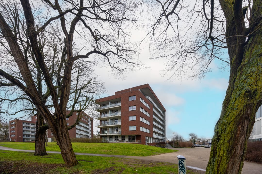 Foto 7 van Royaards van den Hamkade 291