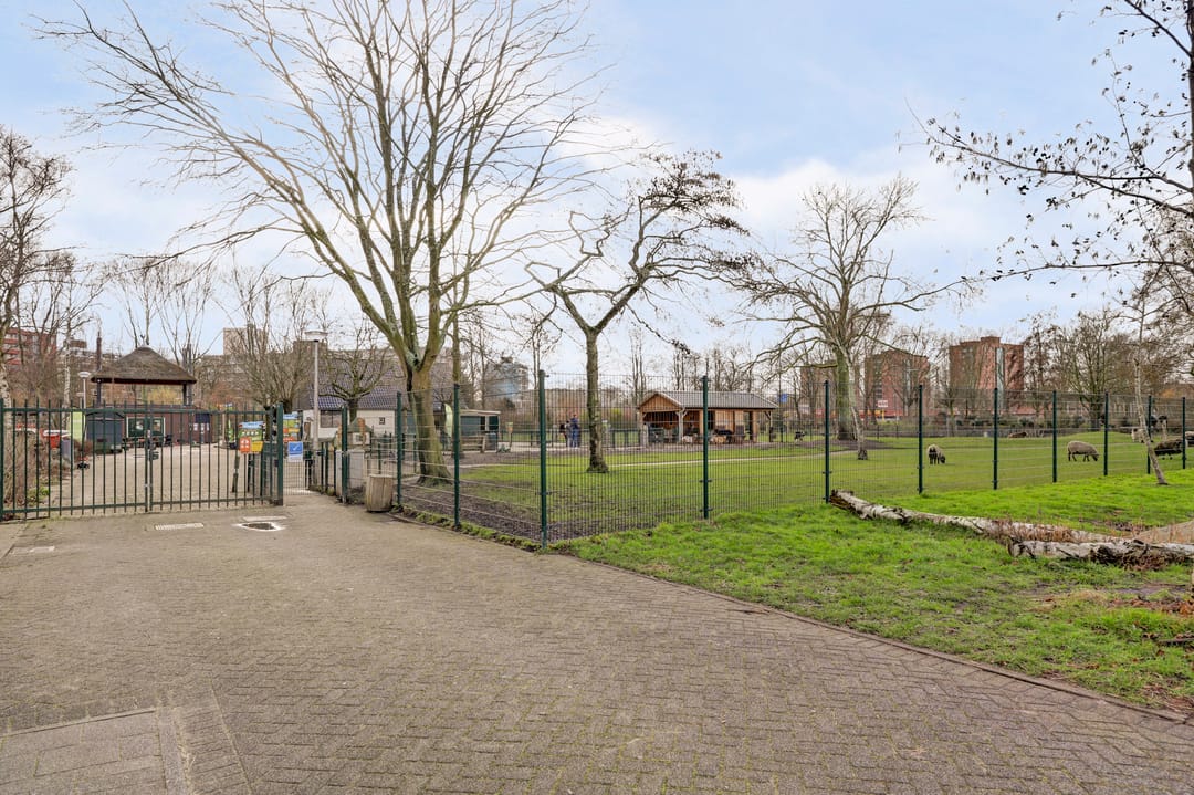 Foto 26 van Marthalaan 203