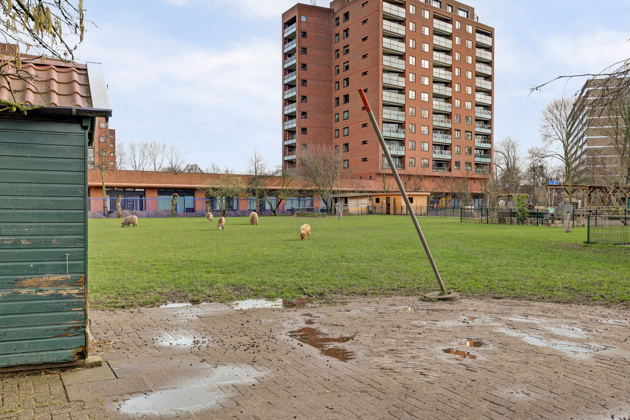 Foto 27 van Marthalaan 203