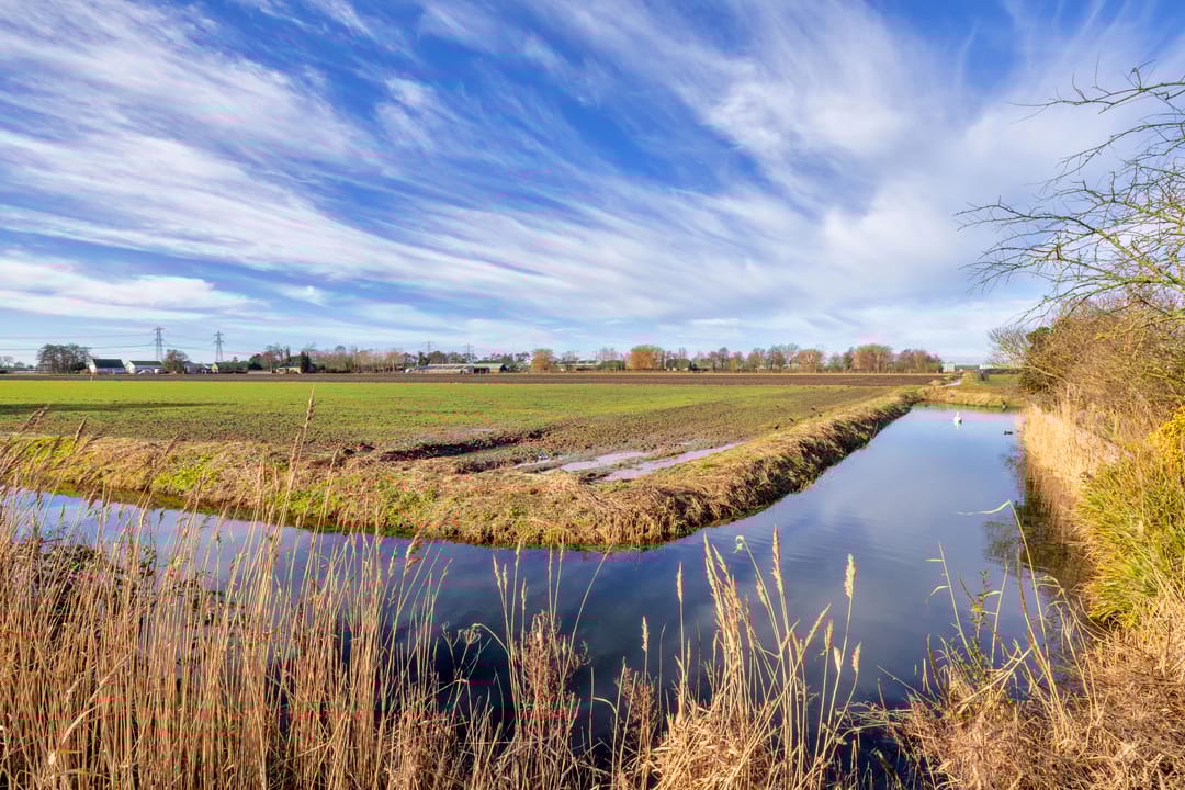 Foto 28 van Bunder 6