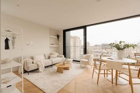 Nicolaas Maesstraat thumbnail