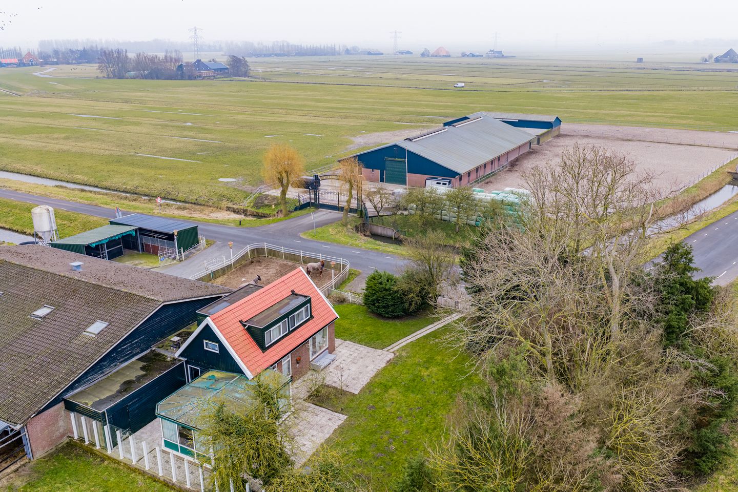 Bekijk foto 4 van Kogerpolder 24