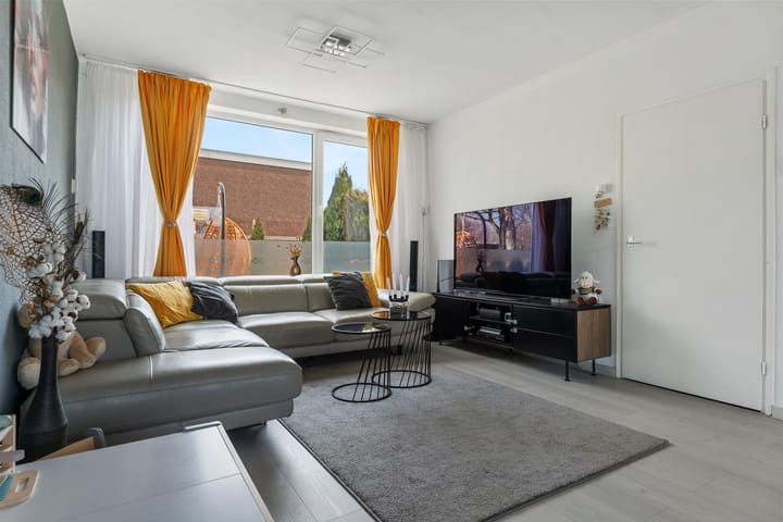 Photo 2 of Schorpioen 43