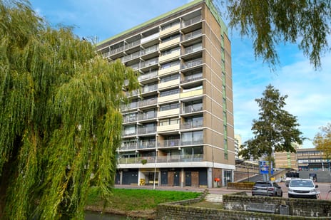 Eesterwaard 90 tertiary image