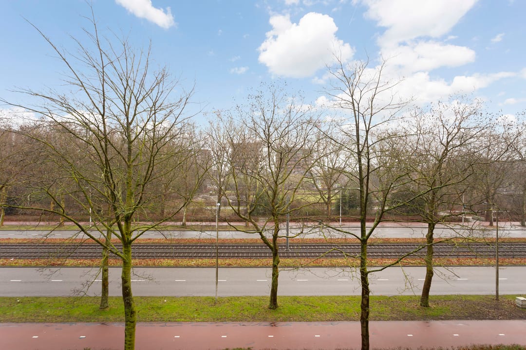 Foto 26 van Livingstonelaan 144