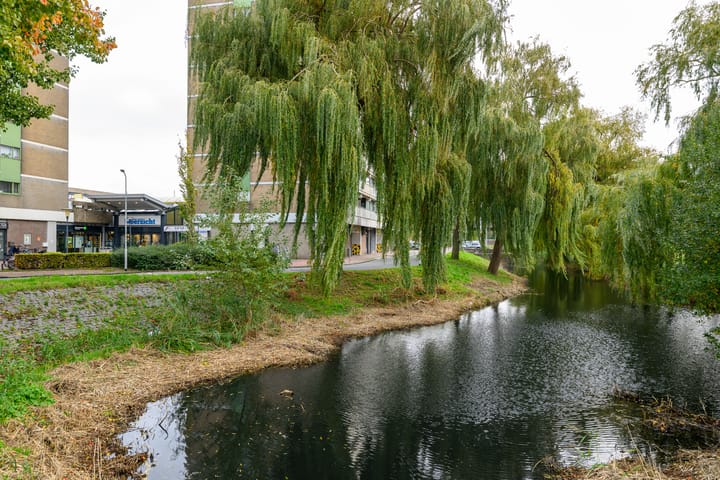 Foto 36 van Eesterwaard 90