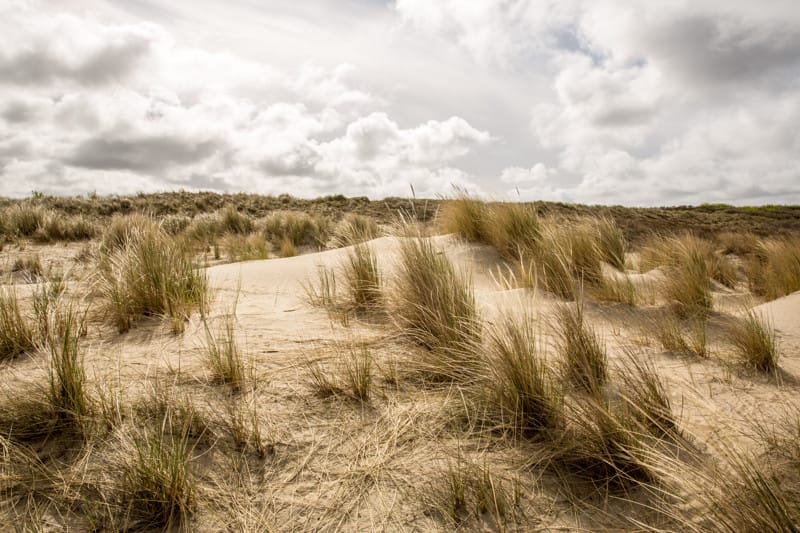 Foto 24 van Irisplein 19