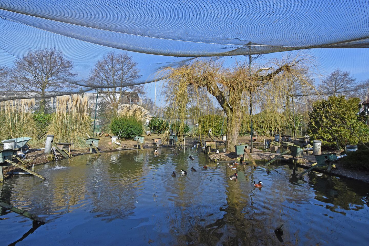 Foto 20 van Laan van Vijverberg 5