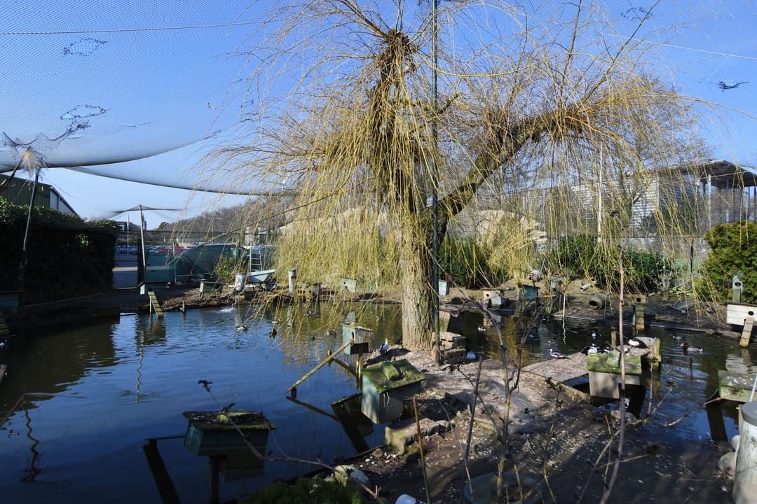 Foto 52 van Laan van Vijverberg 5