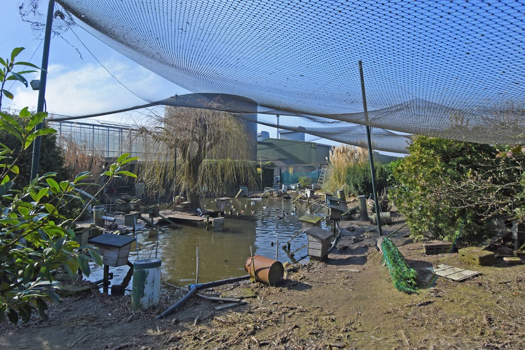 Foto 53 van Laan van Vijverberg 5