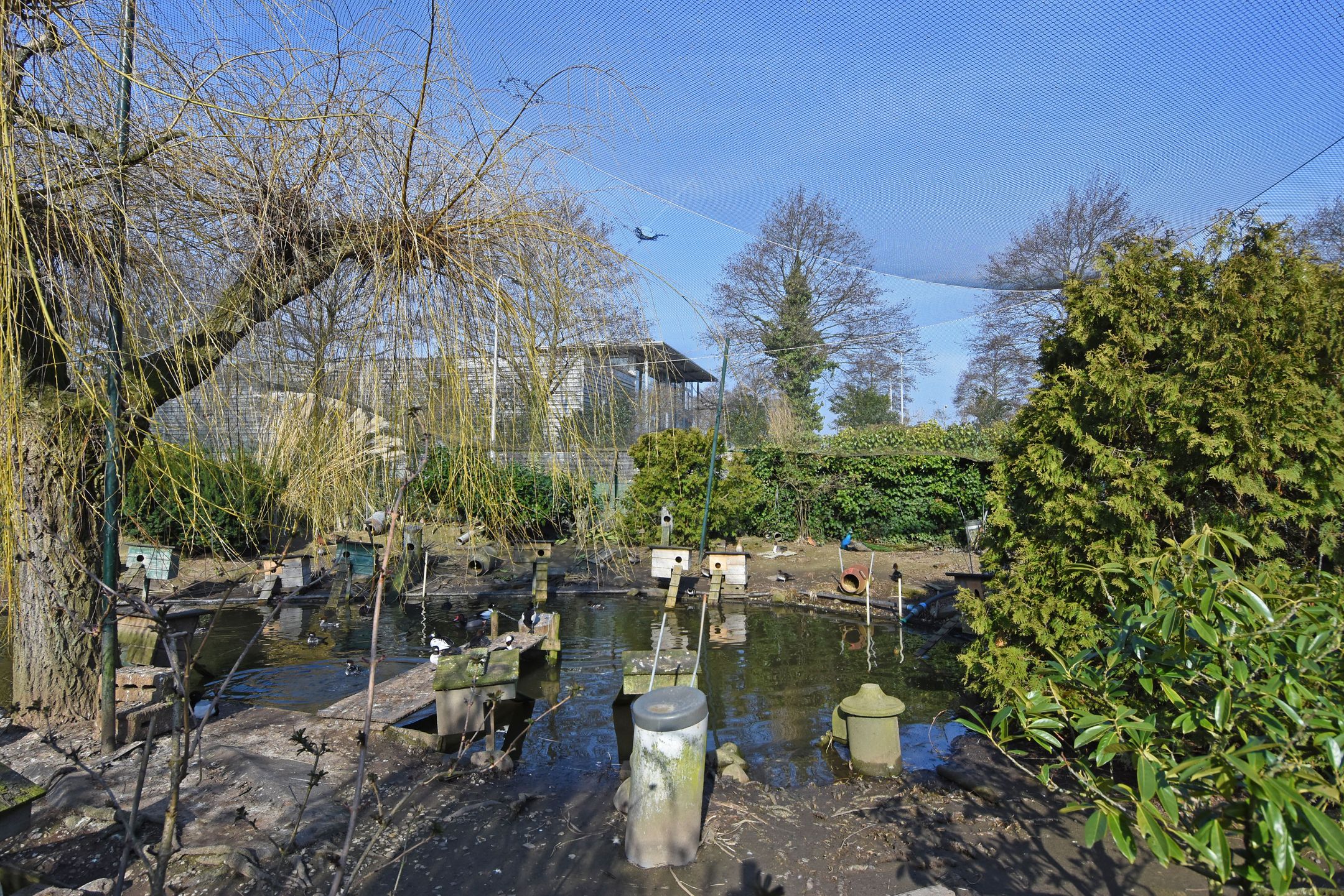 Foto 21 van Laan van Vijverberg 5