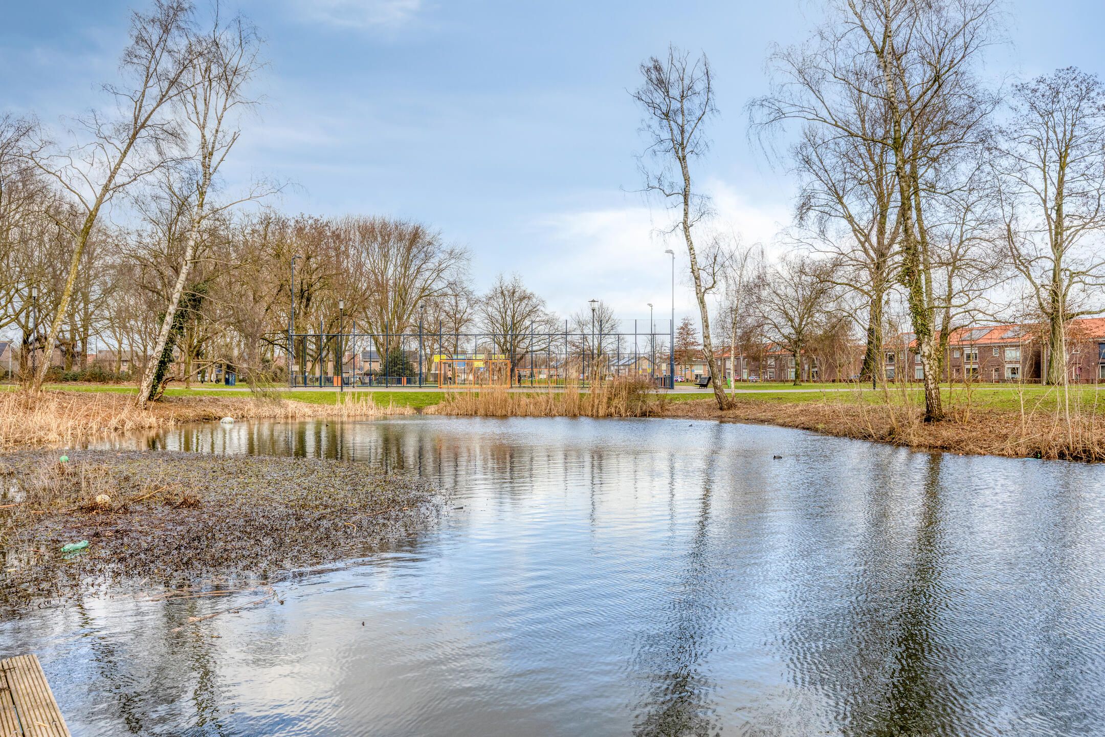 Photo 33 of Lijsterlaan 33