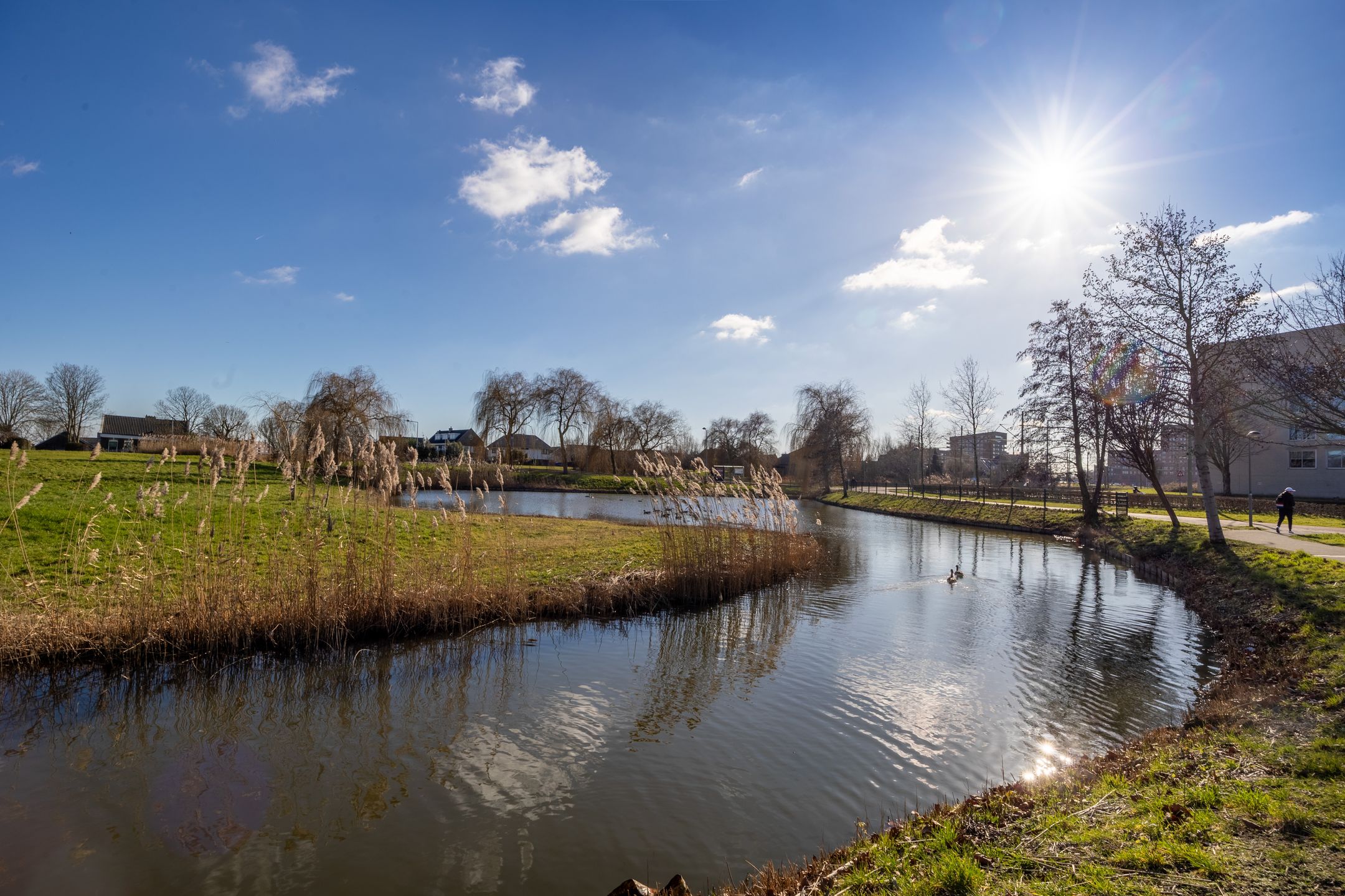 Foto 48 van Kamilleveld 104