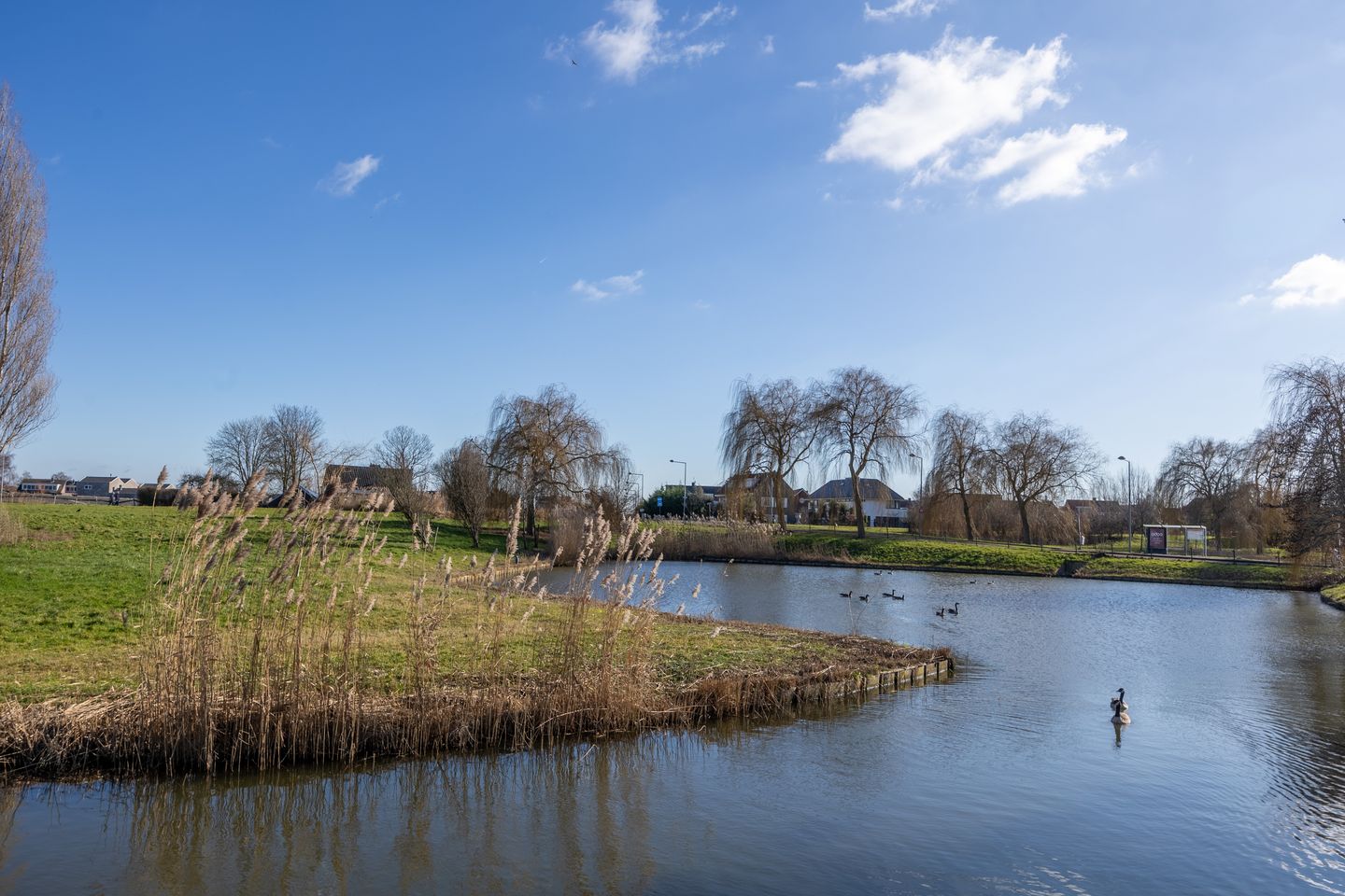 Foto 49 van Kamilleveld 104