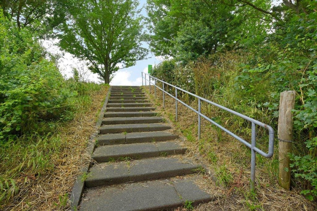 Photo 31 of Roggenplaat 45