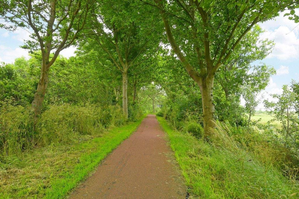 Photo 32 of Roggenplaat 45