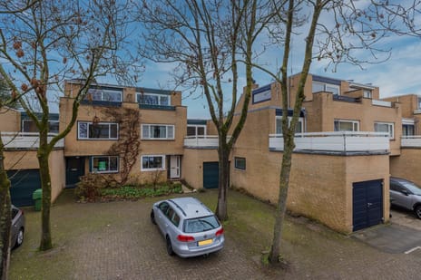 Stokroos 8 secondary image