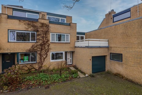 Stokroos 8 tertiary image