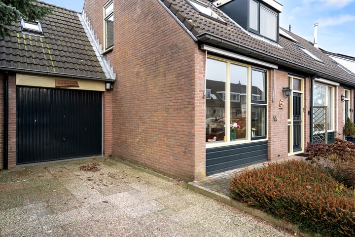 Photo 3 of Boterbloem 12