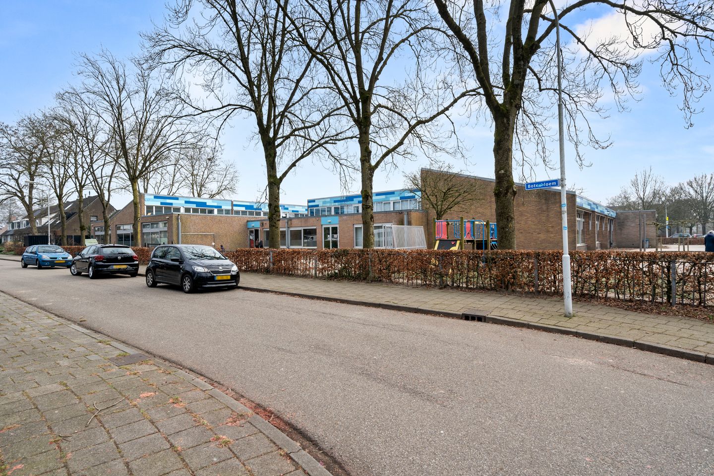 Photo 5 of Boterbloem 12