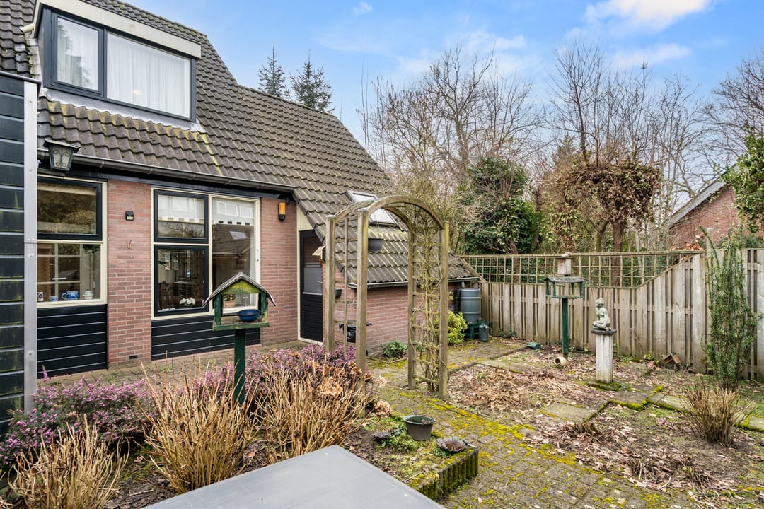 Photo 7 of Boterbloem 12