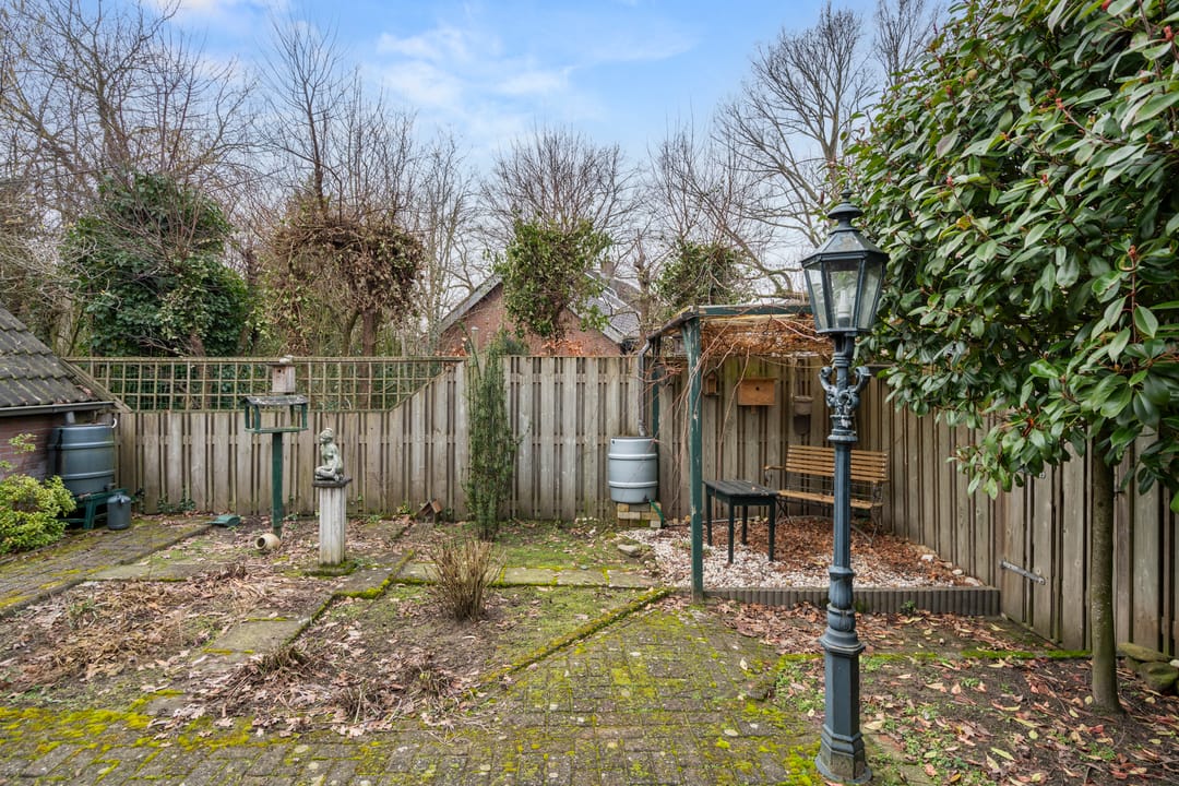 Photo 11 of Boterbloem 12