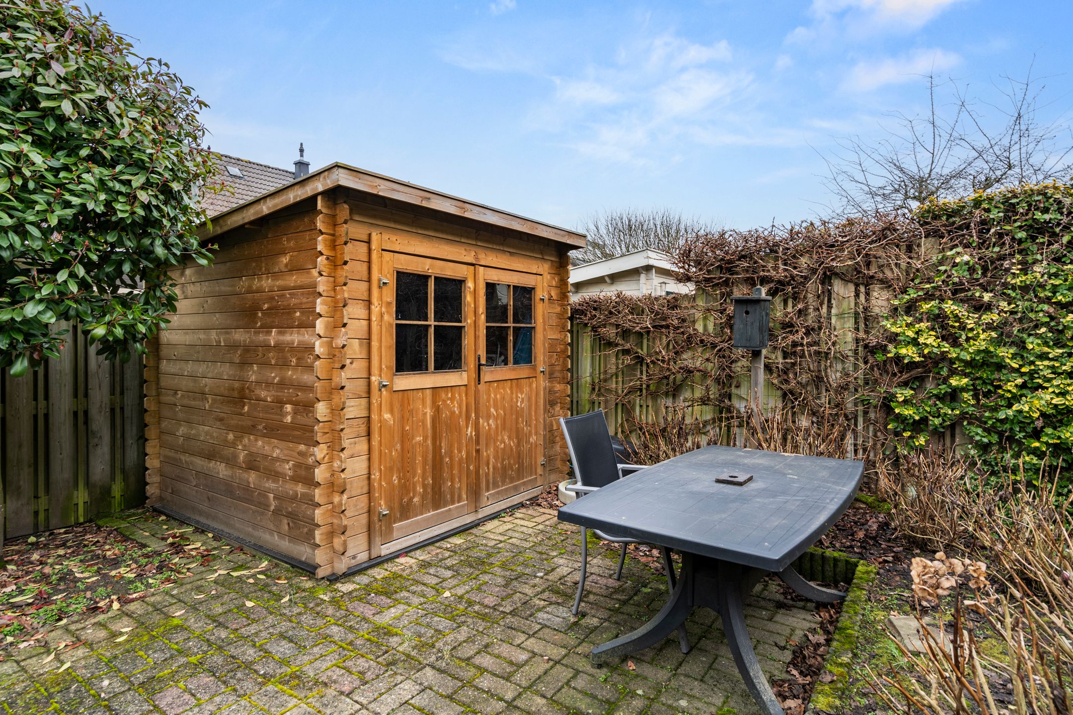 Photo 12 of Boterbloem 12