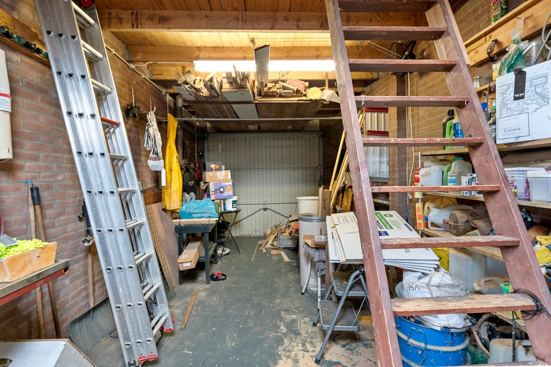 Photo 13 of Boterbloem 12