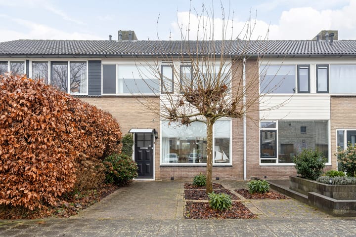Jacob Catsstraat 39